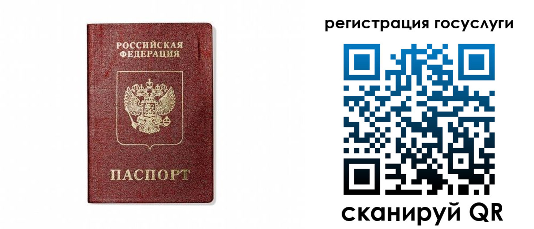 прописка паспорт в Бийске